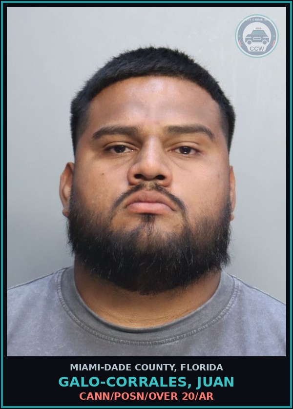 Booking mugshot of GALO-CORRALES, JUAN in Miami-Dade County