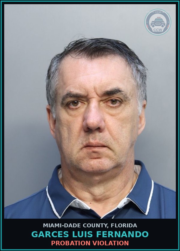 Booking mugshot of GARCES LUIS  FERNANDO in Miami-Dade County