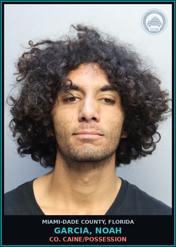 Booking mugshot of GARCIA, NOAH in Miami-Dade County