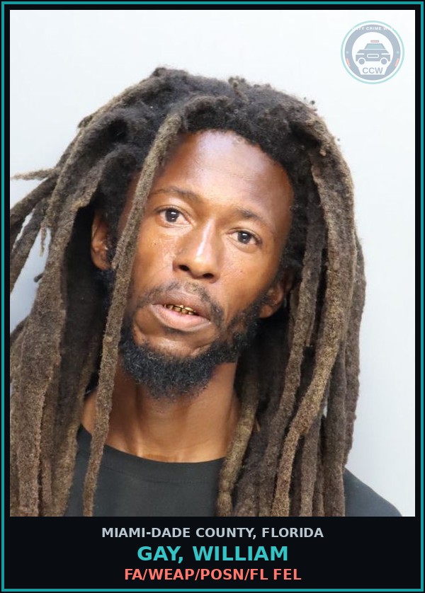 Booking mugshot of GAY, WILLIAM in Miami-Dade County