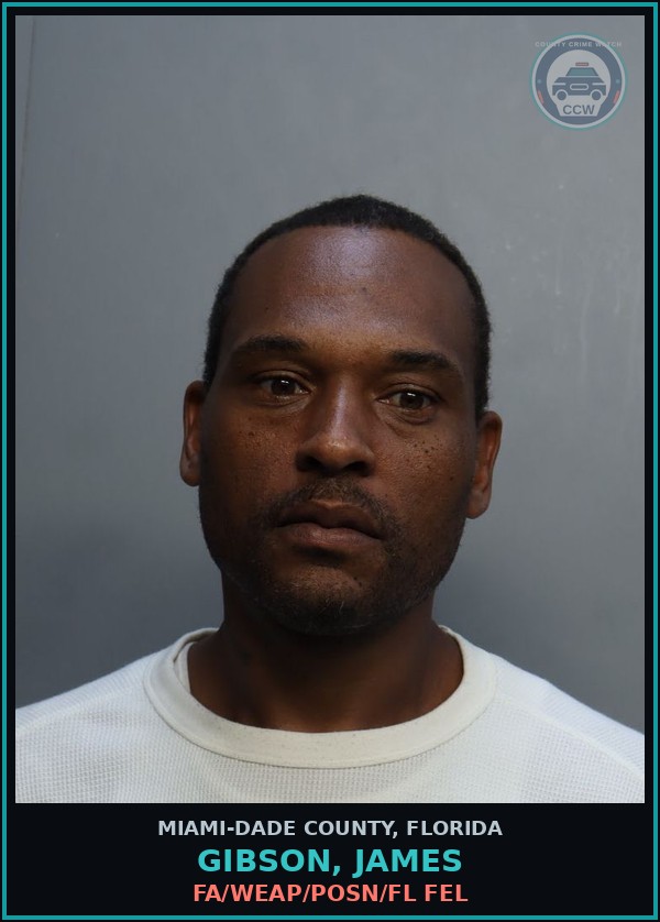Booking mugshot of GIBSON, JAMES in Miami-Dade County