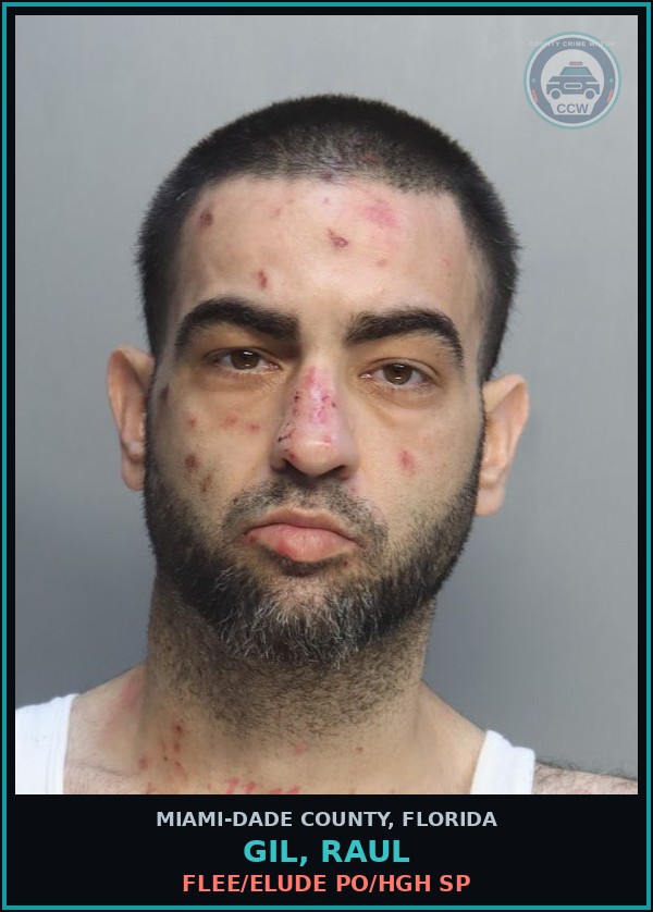 Booking mugshot of GIL, RAUL in Miami-Dade County