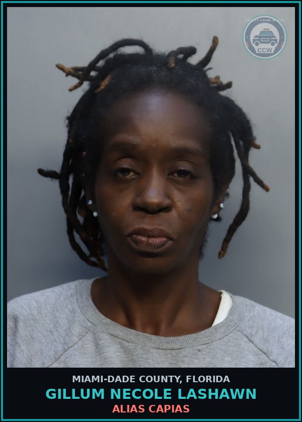 Booking mugshot of GILLUM NECOLE  LASHAWN in Miami-Dade County