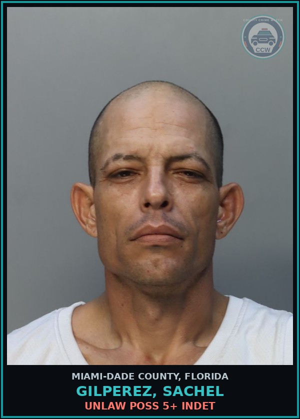 Booking mugshot of GILPEREZ, SACHEL in Miami-Dade County