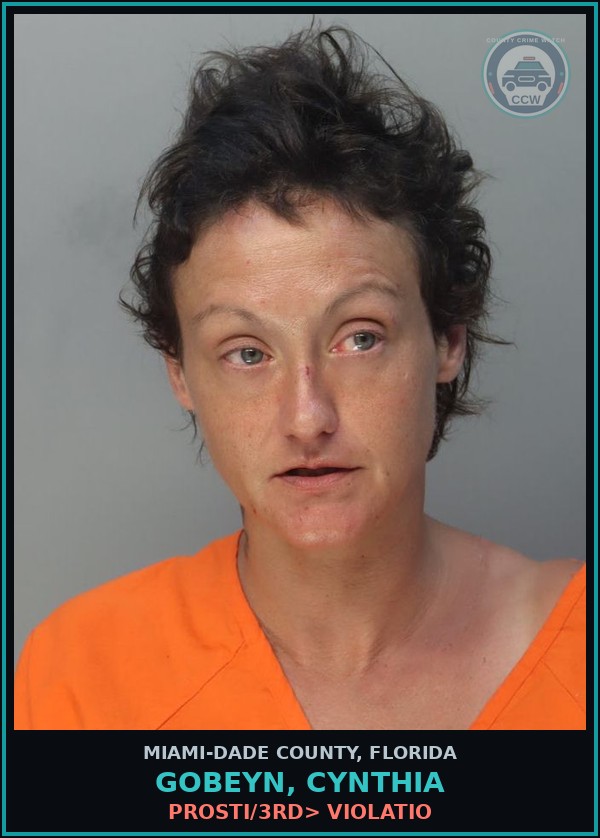 Booking mugshot of GOBEYN, CYNTHIA in Miami-Dade County