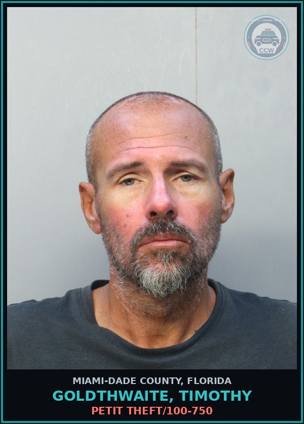 Booking mugshot of GOLDTHWAITE, TIMOTHY in Miami-Dade County