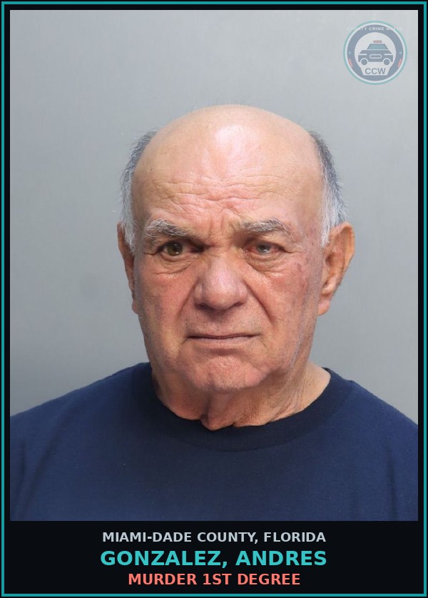 Booking mugshot of GONZALEZ, ANDRES in Miami-Dade County