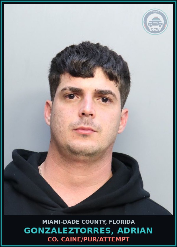 Booking mugshot of GONZALEZTORRES, ADRIAN in Miami-Dade County