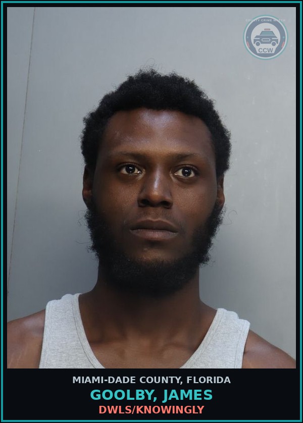 Booking mugshot of GOOLBY, JAMES in Miami-Dade County