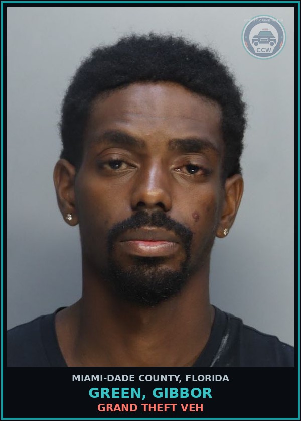 Booking mugshot of GREEN, GIBBOR in Miami-Dade County