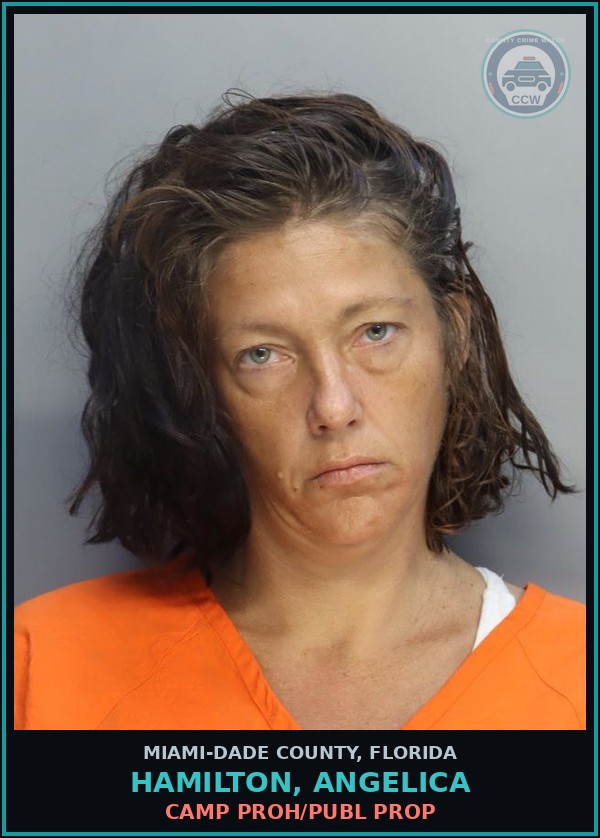 Booking mugshot of HAMILTON, ANGELICA in Miami-Dade County