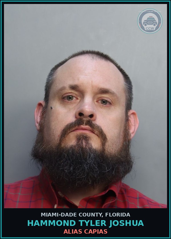 Booking mugshot of HAMMOND TYLER  JOSHUA in Miami-Dade County