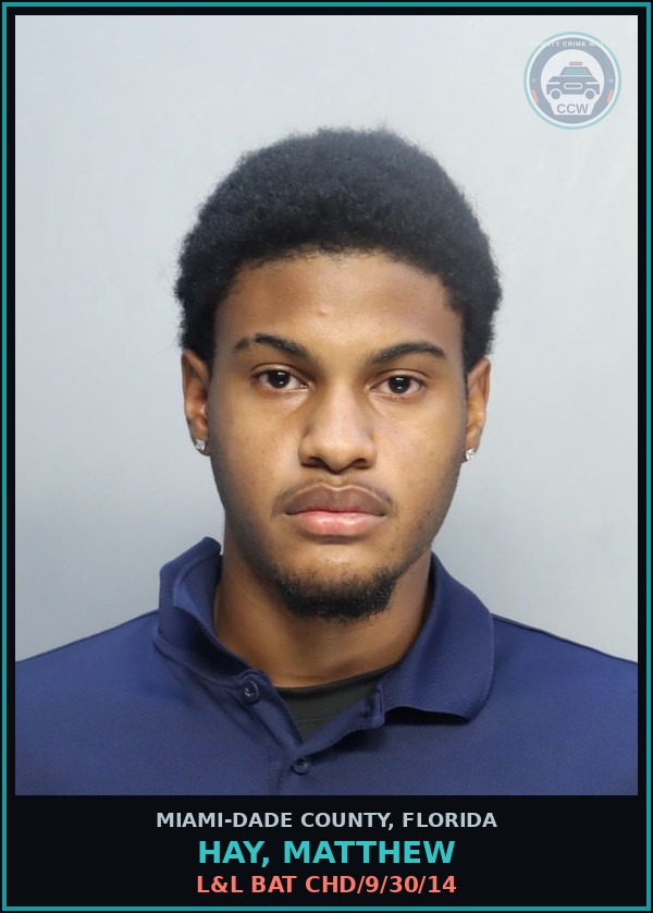 Booking mugshot of HAY, MATTHEW in Miami-Dade County