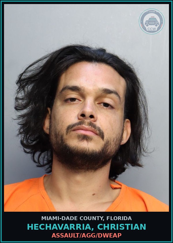 Booking mugshot of HECHAVARRIA, CHRISTIAN in Miami-Dade County