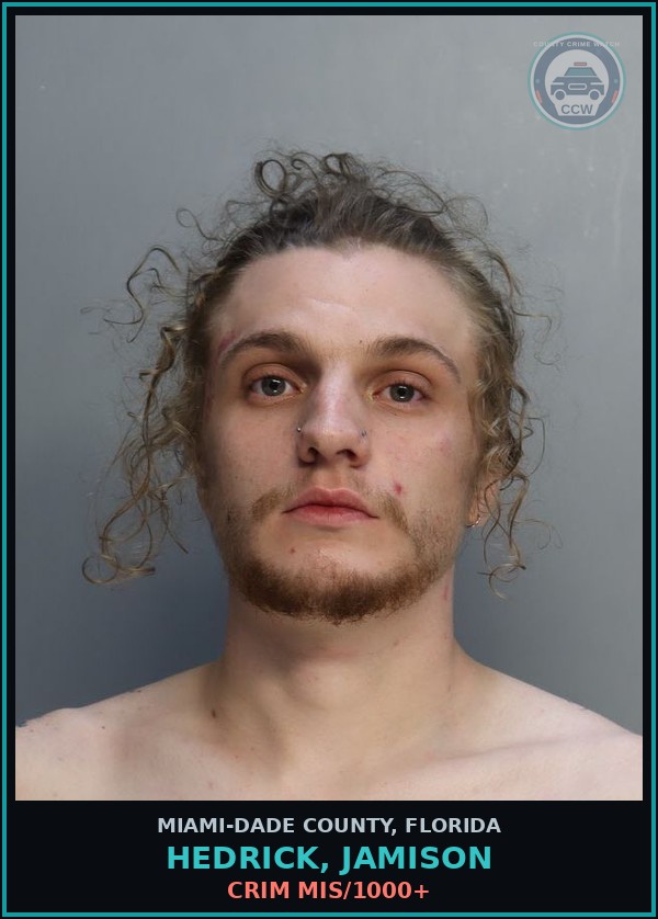 Booking mugshot of HEDRICK, JAMISON in Miami-Dade County