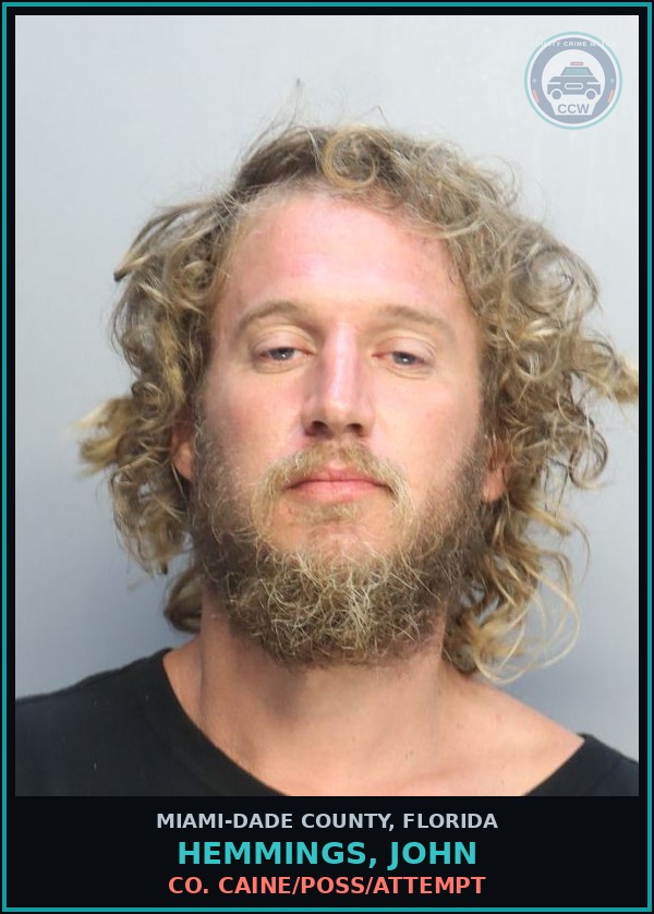 Booking mugshot of HEMMINGS, JOHN in Miami-Dade County
