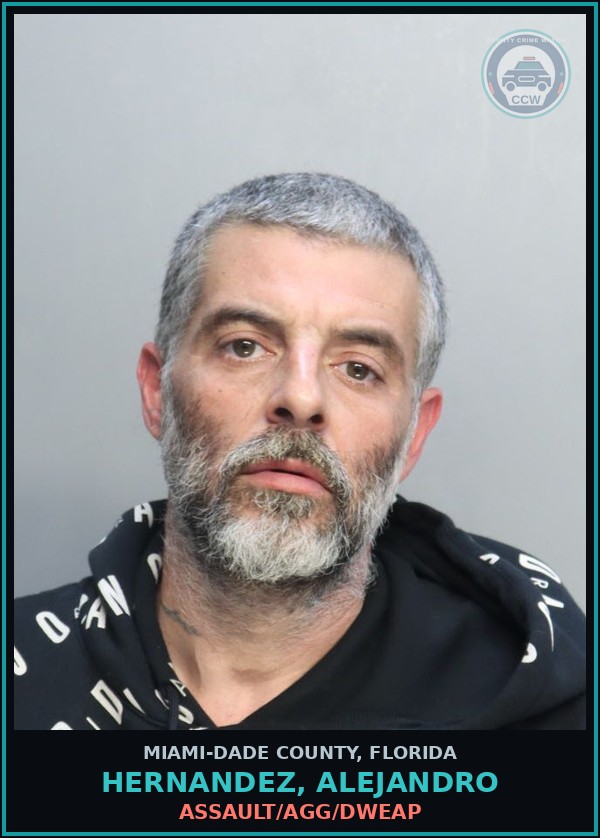 Booking mugshot of HERNANDEZ, ALEJANDRO in Miami-Dade County