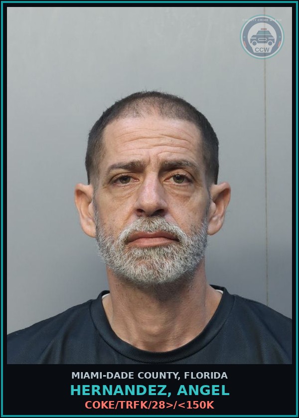 Booking mugshot of HERNANDEZ, ANGEL in Miami-Dade County