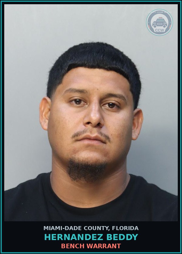 Booking mugshot of HERNANDEZ BEDDY in Miami-Dade County