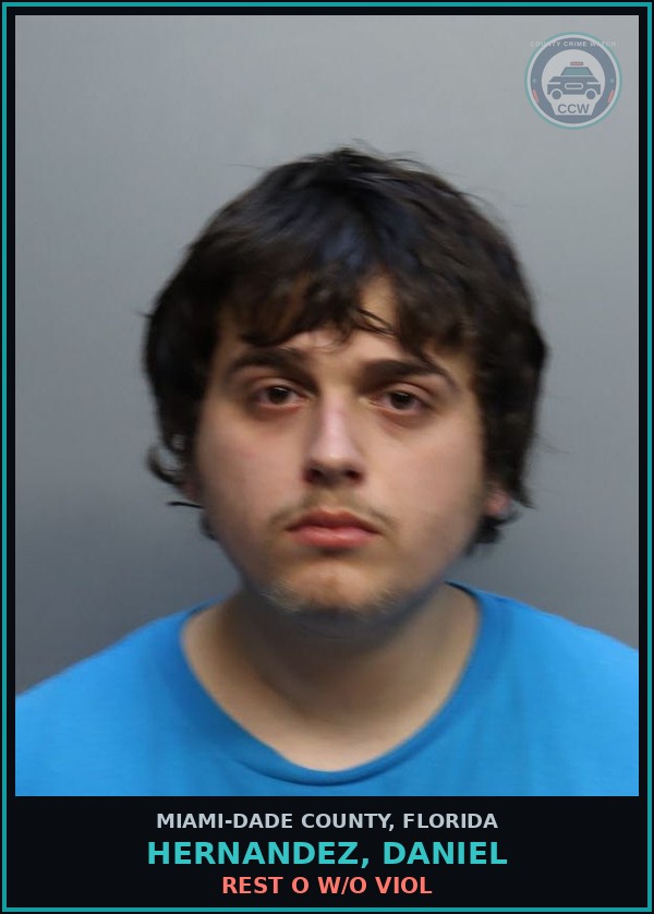Booking mugshot of HERNANDEZ, DANIEL in Miami-Dade County
