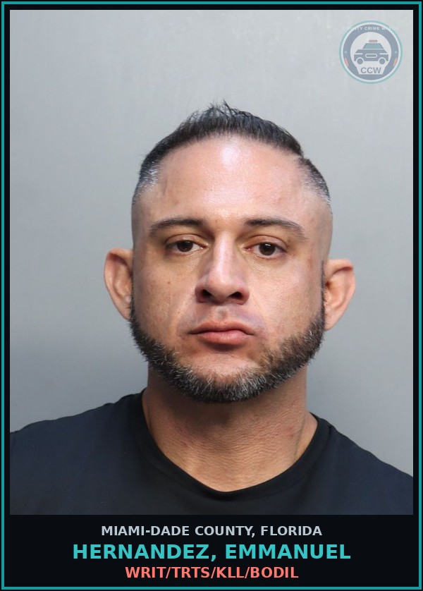 Booking mugshot of HERNANDEZ, EMMANUEL in Miami-Dade County