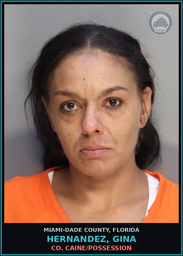 Booking mugshot of HERNANDEZ, GINA in Miami-Dade County