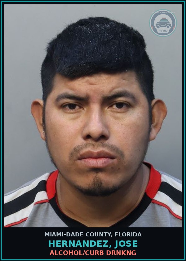 Booking mugshot of HERNANDEZ, JOSE in Miami-Dade County