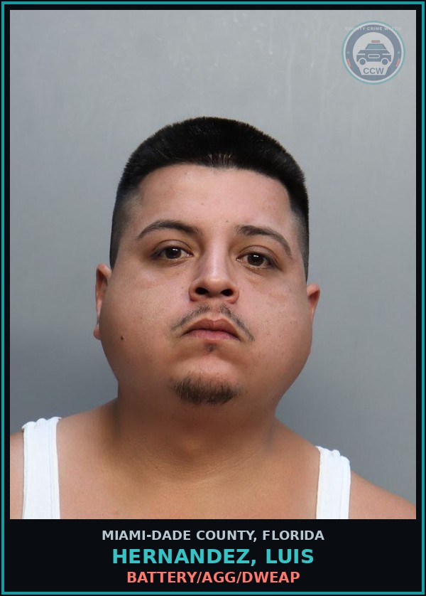 Booking mugshot of HERNANDEZ, LUIS in Miami-Dade County