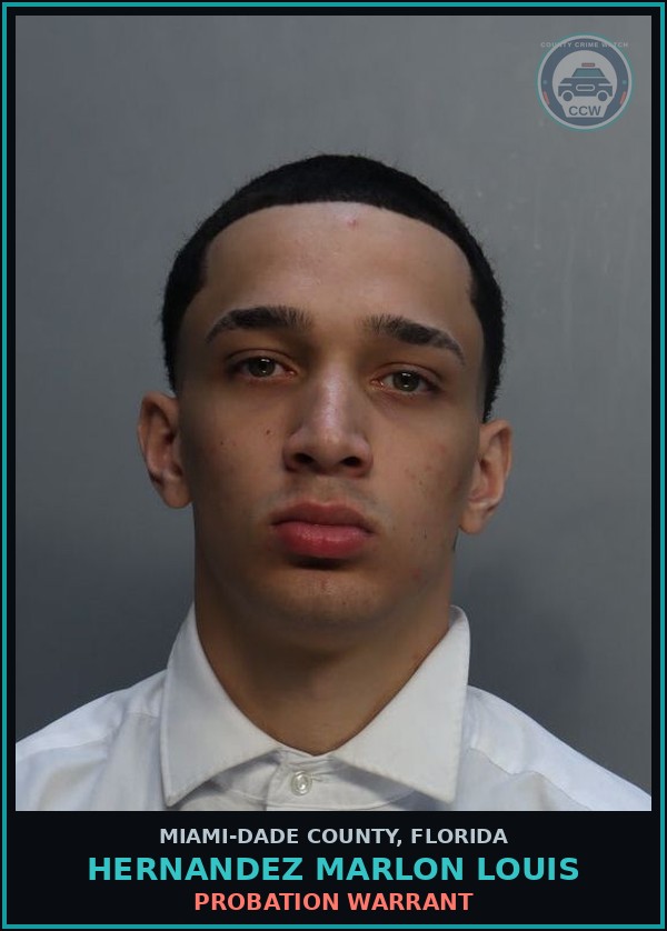 Booking mugshot of HERNANDEZ MARLON  LOUIS in Miami-Dade County