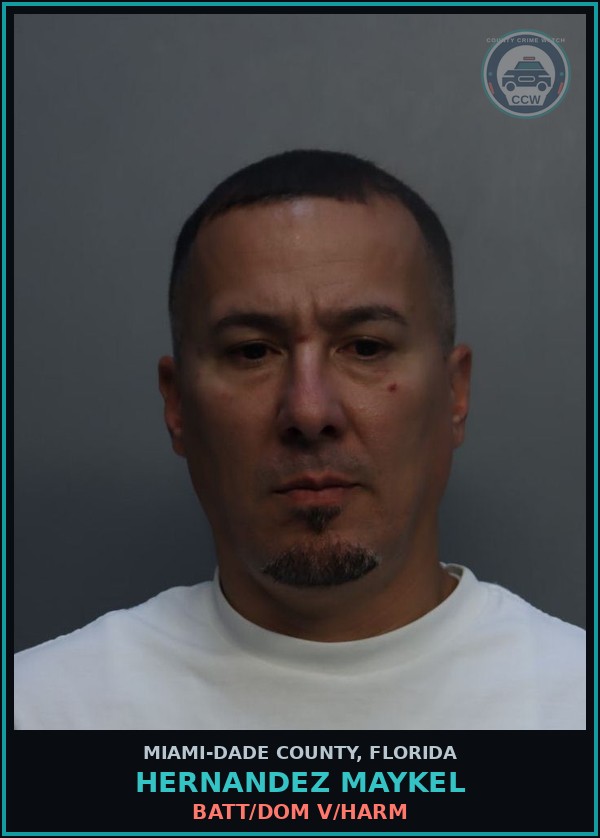 Booking mugshot of HERNANDEZ MAYKEL in Miami-Dade County