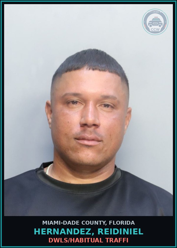 Booking mugshot of HERNANDEZ, REIDINIEL in Miami-Dade County
