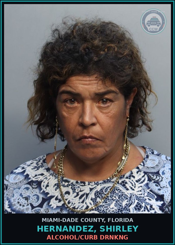 Booking mugshot of HERNANDEZ, SHIRLEY in Miami-Dade County