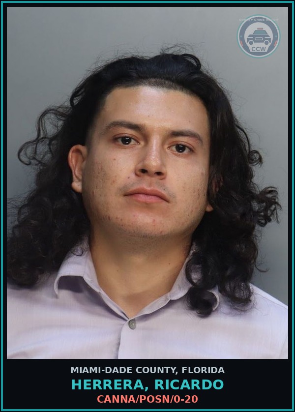 Booking mugshot of HERRERA, RICARDO in Miami-Dade County