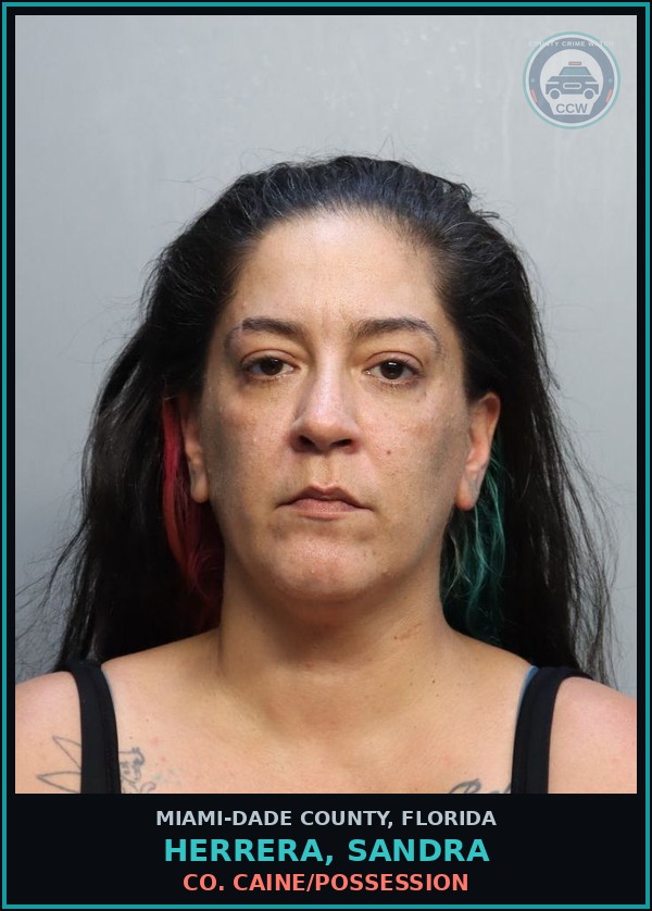 Booking mugshot of HERRERA, SANDRA in Miami-Dade County