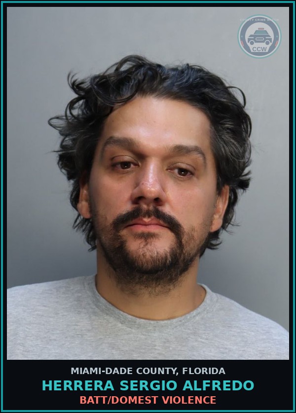 Booking mugshot of HERRERA SERGIO  ALFREDO in Miami-Dade County
