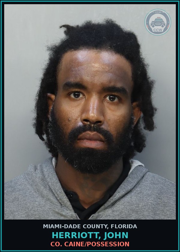 Booking mugshot of HERRIOTT, JOHN in Miami-Dade County