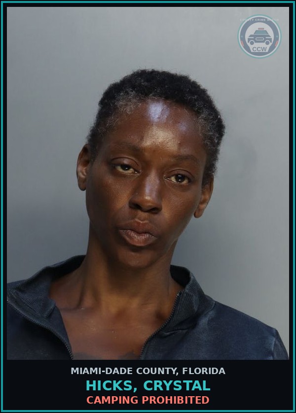 Booking mugshot of HICKS, CRYSTAL in Miami-Dade County