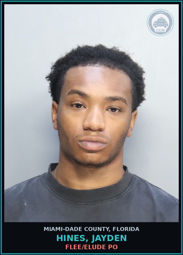 Booking mugshot of HINES, JAYDEN in Miami-Dade County