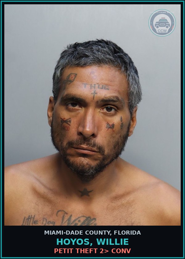 Booking mugshot of HOYOS, WILLIE in Miami-Dade County