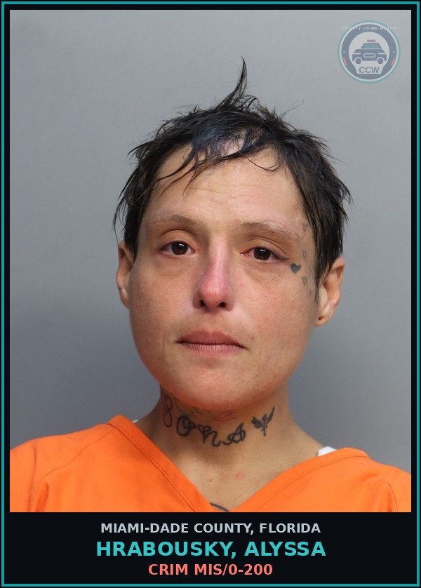 Booking mugshot of HRABOUSKY, ALYSSA in Miami-Dade County