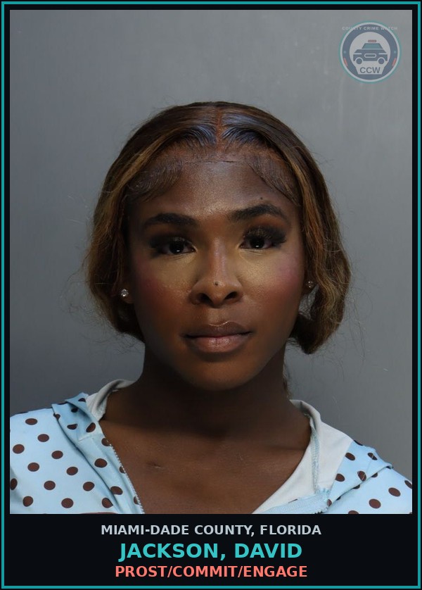 Booking mugshot of JACKSON, DAVID in Miami-Dade County