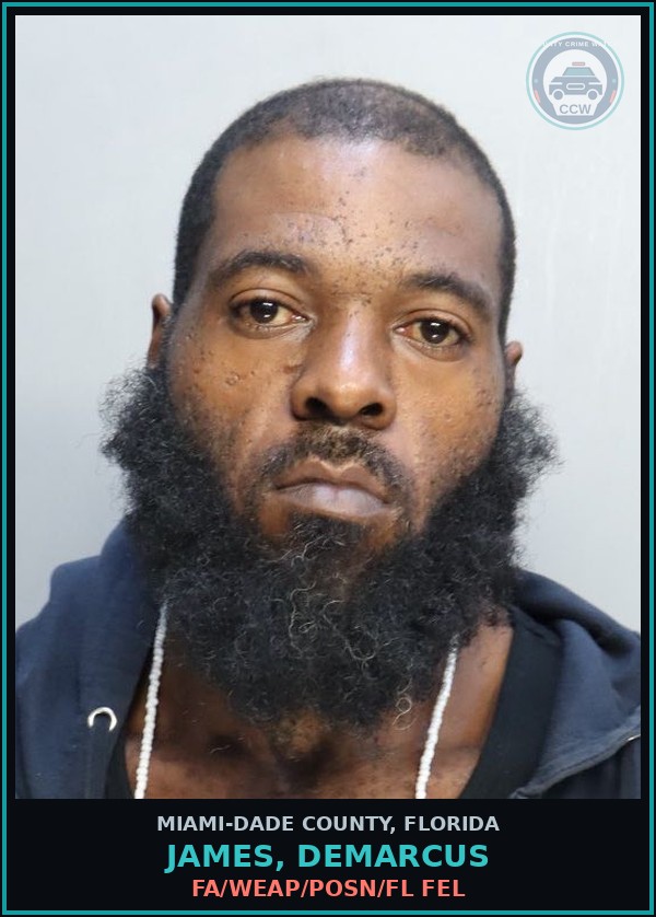 Booking mugshot of JAMES, DEMARCUS in Miami-Dade County