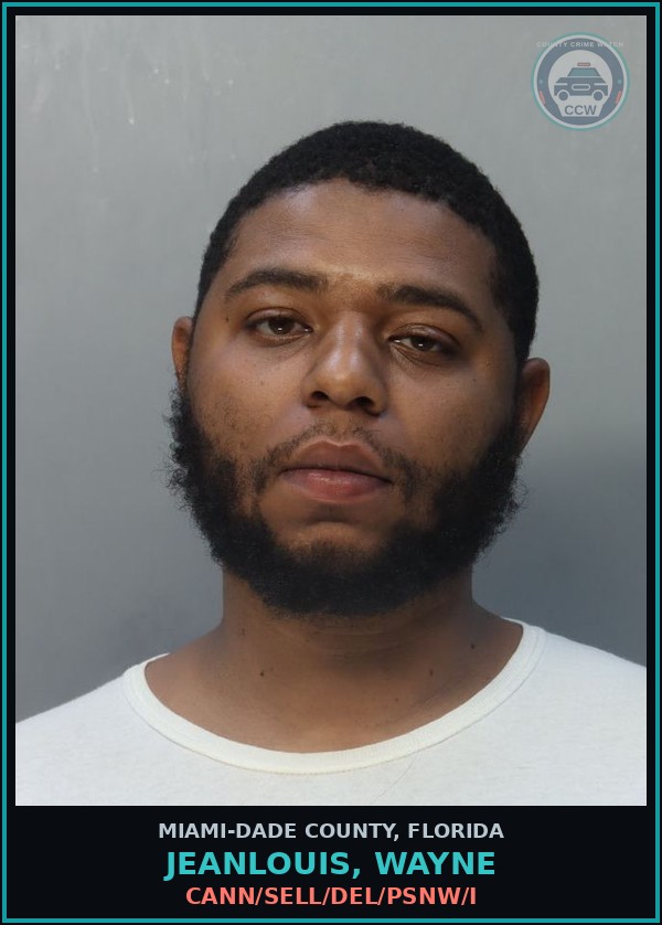 Booking mugshot of JEANLOUIS, WAYNE in Miami-Dade County