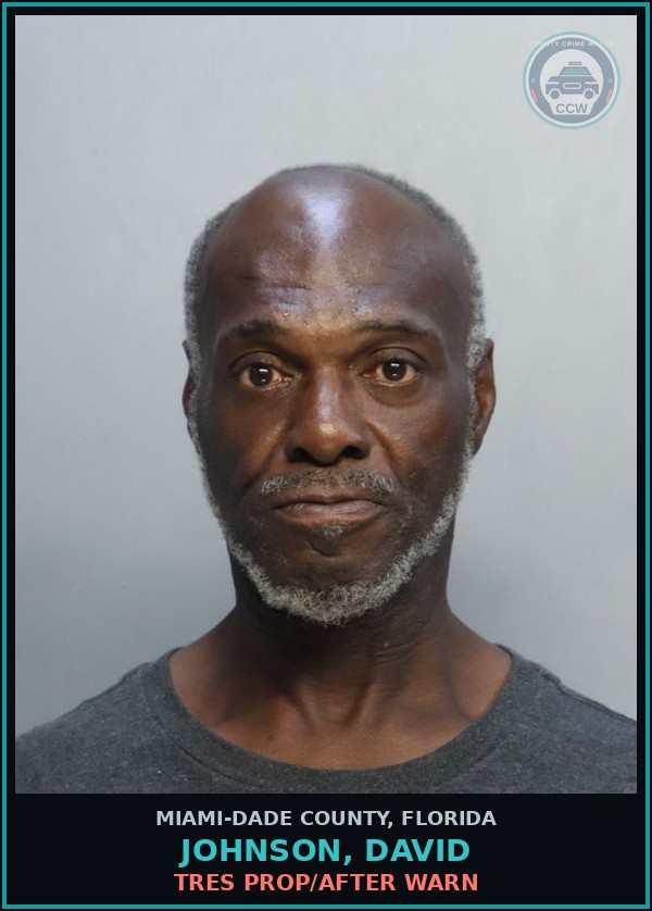 Booking mugshot of JOHNSON, DAVID in Miami-Dade County