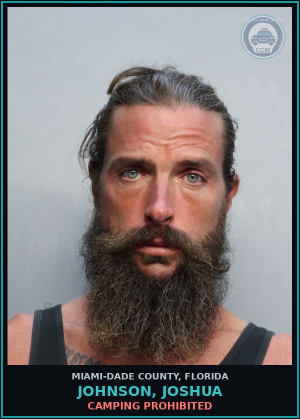 Booking mugshot of JOHNSON, JOSHUA in Miami-Dade County