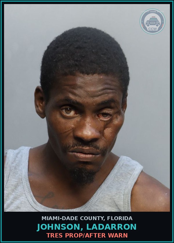 Booking mugshot of JOHNSON, LADARRON in Miami-Dade County