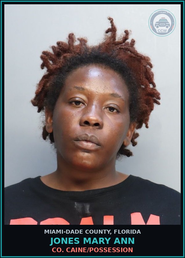 Booking mugshot of JONES MARY  ANN in Miami-Dade County