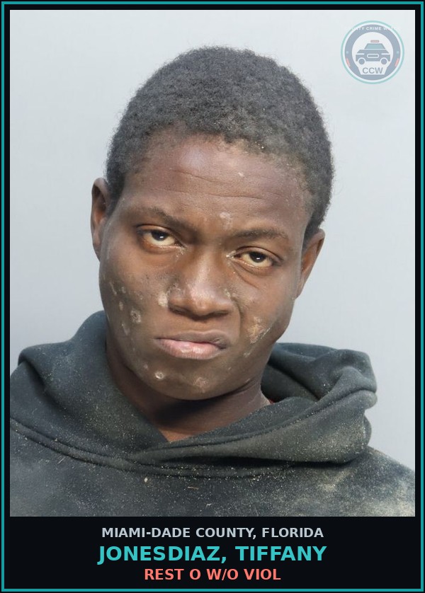 Booking mugshot of JONESDIAZ, TIFFANY in Miami-Dade County