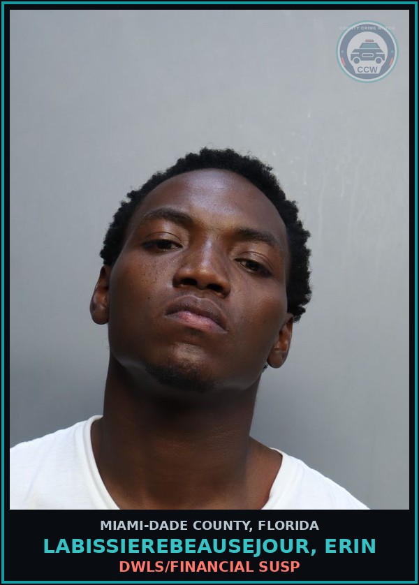 Booking mugshot of LABISSIEREBEAUSEJOUR, ERIN in Miami-Dade County
