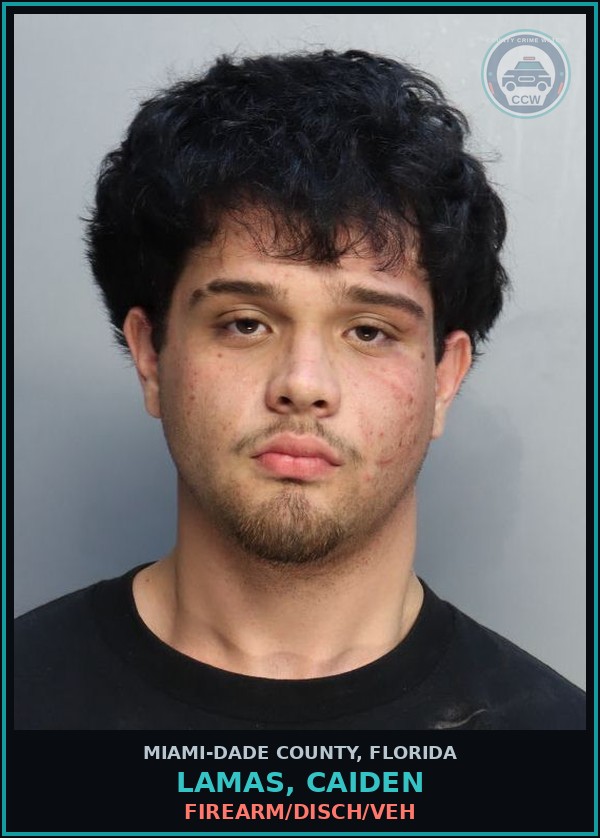 Booking mugshot of LAMAS, CAIDEN in Miami-Dade County